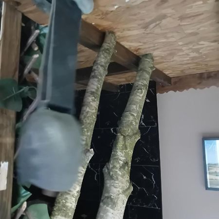 Apartamento La Grange De Paul Au Domaine Du Reuze Winnezeele Exterior foto